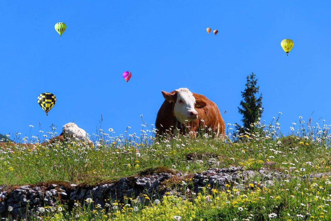 Alpenhaus Donnerkogel Διαμέρισμα Annaberg im Lammertal Εξωτερικό φωτογραφία