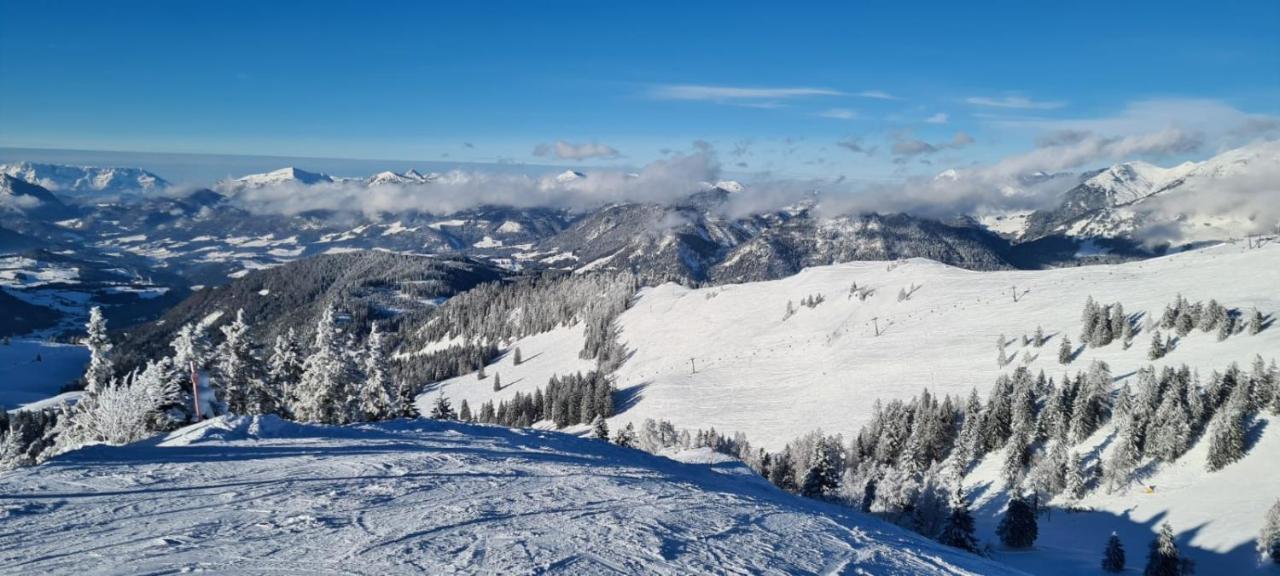 Alpenhaus Donnerkogel Διαμέρισμα Annaberg im Lammertal Εξωτερικό φωτογραφία