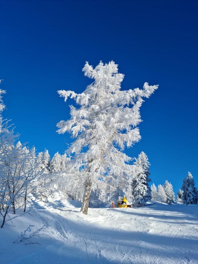 Alpenhaus Donnerkogel Διαμέρισμα Annaberg im Lammertal Εξωτερικό φωτογραφία